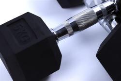 Чугунные гантели с резиновым покрытием 