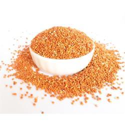 Китайское красное просо