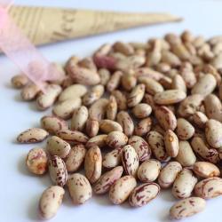 Крапчатая фасоль 