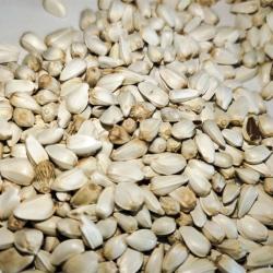 Семена сафлора без шелухи на корм 