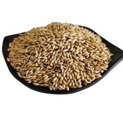 Канареечное семя для кормления птиц