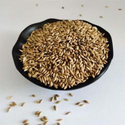 Канареечное семя для кормления птиц