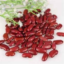 Британская красная фасоль