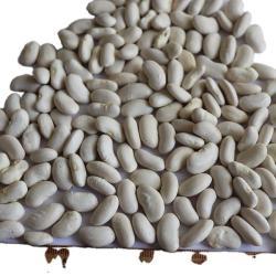 Сахарная фасоль