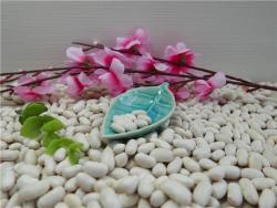 Белая фасоль 