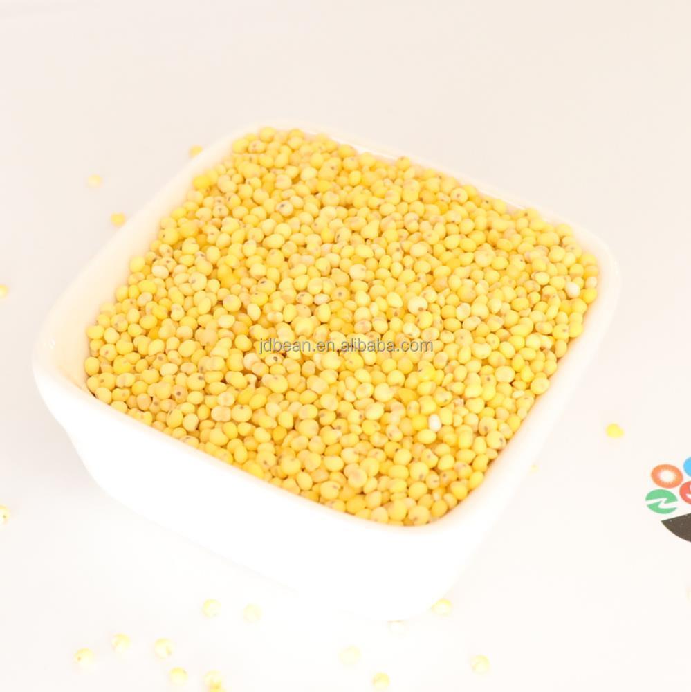 Высококачественное очищенное клейкое желтое просо 