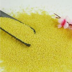 Высококачественное очищенное клейкое желтое просо 