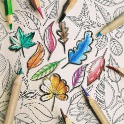 Набор из 36 экологически чистых карандашей 