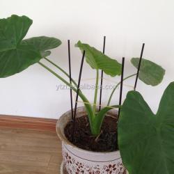 Палочки для выращивания садовых растений