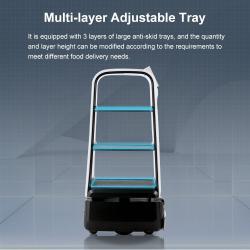 Человекоподобный робот для гостиничного обслуживания и подачи пищи (арт. 2811530)