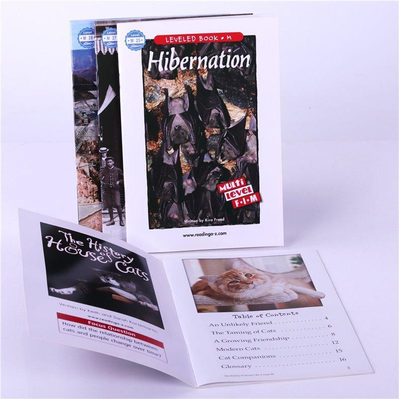 Бесплатные образцы печати на заказ 3D-эффект на бумаге с фольгированием (арт. 1113014)