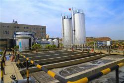 Катионная ионообменная смола Rohm Hass IR 120 Amberlite, цена за смолу (арт. 16121092)