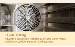 Газовая конвекционная печь на 10 лотков для хлебопекарен (арт. 25-28041898)