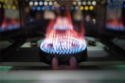 Коммерческий ферментатор теста на 15 противней с одной дверью газовый (арт. 25-28041883)