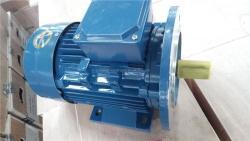 Асинхронный трёхфазный двигатель 2.2кВт 3HP 220/380В (арт. 25-17051271)