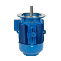 Электродвигатель 15кВт 20HP трёхфазный асинхронный в алюминиевом корпусе (арт. 25-17051280)