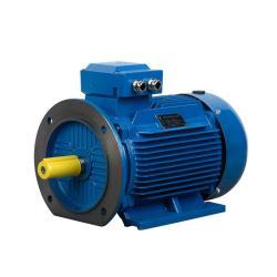 Электродвигатель 22кВт 30HP ГОСТ трёхфазный асинхронный российского типа (арт. 25-17051281)