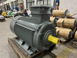 Электродвигатель 160кВт 220HP ГОСТ трёхфазный асинхронный российского типа (арт. 25-17051294)