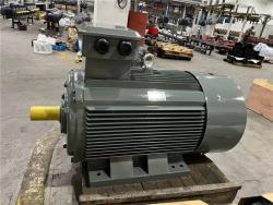 Электродвигатель 250кВт 340HP ГОСТ трёхфазный асинхронный переменного тока (арт. 25-17051296)