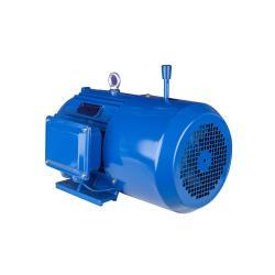 Электродвигатель YEJ 0.75–45kW 380В трёхфазный с электромагнитным тормозом (25-8051723)