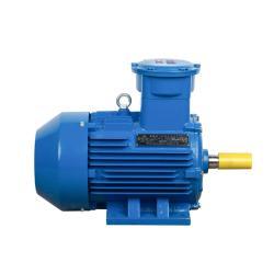 Электродвигатель YBX3 22kW 30HP 380В 50Гц трёхфазный взрывозащищённый AC (25-8051759)