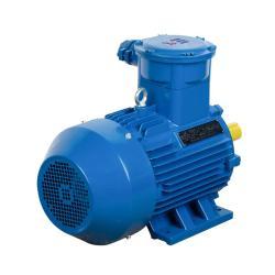 Электродвигатель YBX3 22kW 30HP 380В 50Гц трёхфазный взрывозащищённый AC (25-8051759)