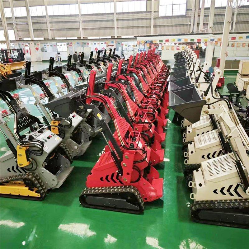 Погрузчик мини CE EPA Euro 5 с ковшом и бортовым поворотом доставка (арт. 25-12062375)