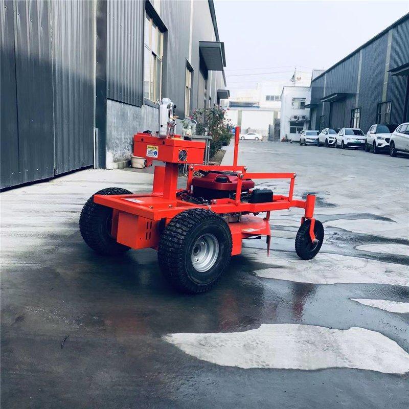 Газонокосилка автоматическая электрическая с дистанционным управлением (арт. 25-12062996)