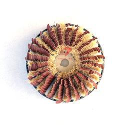 Шлифовальный ролик Zhenda с прочной шкуркой и сизальной щетиной для полировки дерева (арт. 25-1408465)