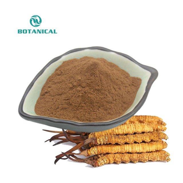 Экстракт порошка Cordyceps Sinensis 30% для капсул (арт. 25-17072239)