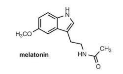 Порошок мелатонина MT Melatonin 99 для улучшения сна (арт. 25-17072260)