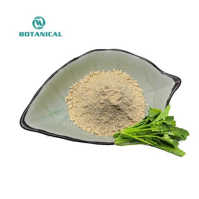 Экстракт шпината с эдистероном для повышения активности (арт. 25-17072304)