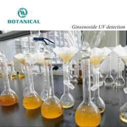 Экстракт американского женьшеня сапонины 10% 80% (арт. 25-17072311)