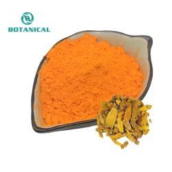 Экстракт корня куркумы 95% (арт. 25-17072342)