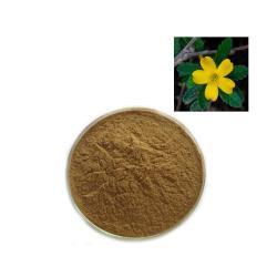 Экстракт листьев дамьяны 100:1 для здоровья (арт. 25-17072343)