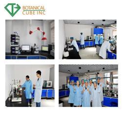 Экстракт листьев дамьяны 100:1 для здоровья (арт. 25-17072343)