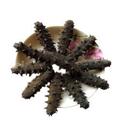 Экстракт порошка морского огурца сушеный (арт. 25-17072412)