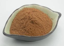 Экстракт Антродии Камфорной с Полисахаридами 30% 50% (арт. 25-17072472)