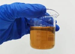 Экстракт грибов с порошком Pleurotus Ostreatus (арт. 25-17072473)