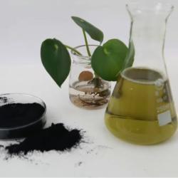 Пищевой пигмент натуральный зеленый на основе хлорофиллина натрия и магния (арт. 25-17072500)