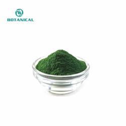 Порошок AFA высокого качества 10:1 из экстракта Aphanizomenon (арт. 25-17072523)