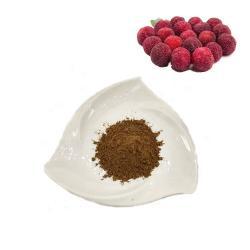 Экстракт байберри в порошке 10:1 (арт. 25-17072536)