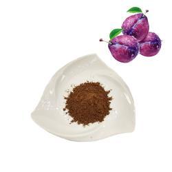 Пудра из чернослива 100% водорастворимая (арт. 25-17072542)