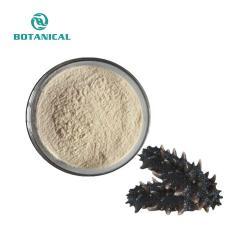 Порошок морского огурца с экстрактом голотурии 90% протеина (арт. 25-17072574)