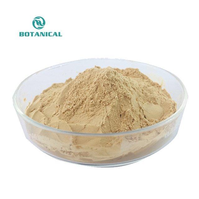 Порошок натурального соевого лецитина 98% (арт. 25-17072601)