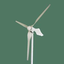 Генератор ветротурбинный горизонтальный 3000W 24v 48v для дома и лодок (арт. 25-5081059)