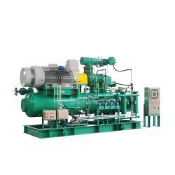 Компрессор винтовой аммиачный открытый 1160кВт промышленный (арт. 25-5082254)