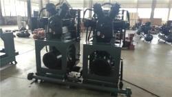 Компрессор воздушный высокого давления 30/40 бар для выдувных машин (арт. 25-5082288)