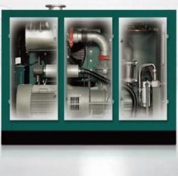 Вакуумный насос винтовой с частотным регулированием и масляной смазкой (арт. 25-5082376)