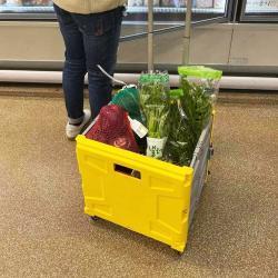 Тележка складная пластиковая 6-колесная для покупок (арт. 25-5085999)